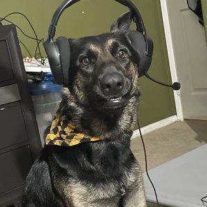 Meet your Posher, Martin